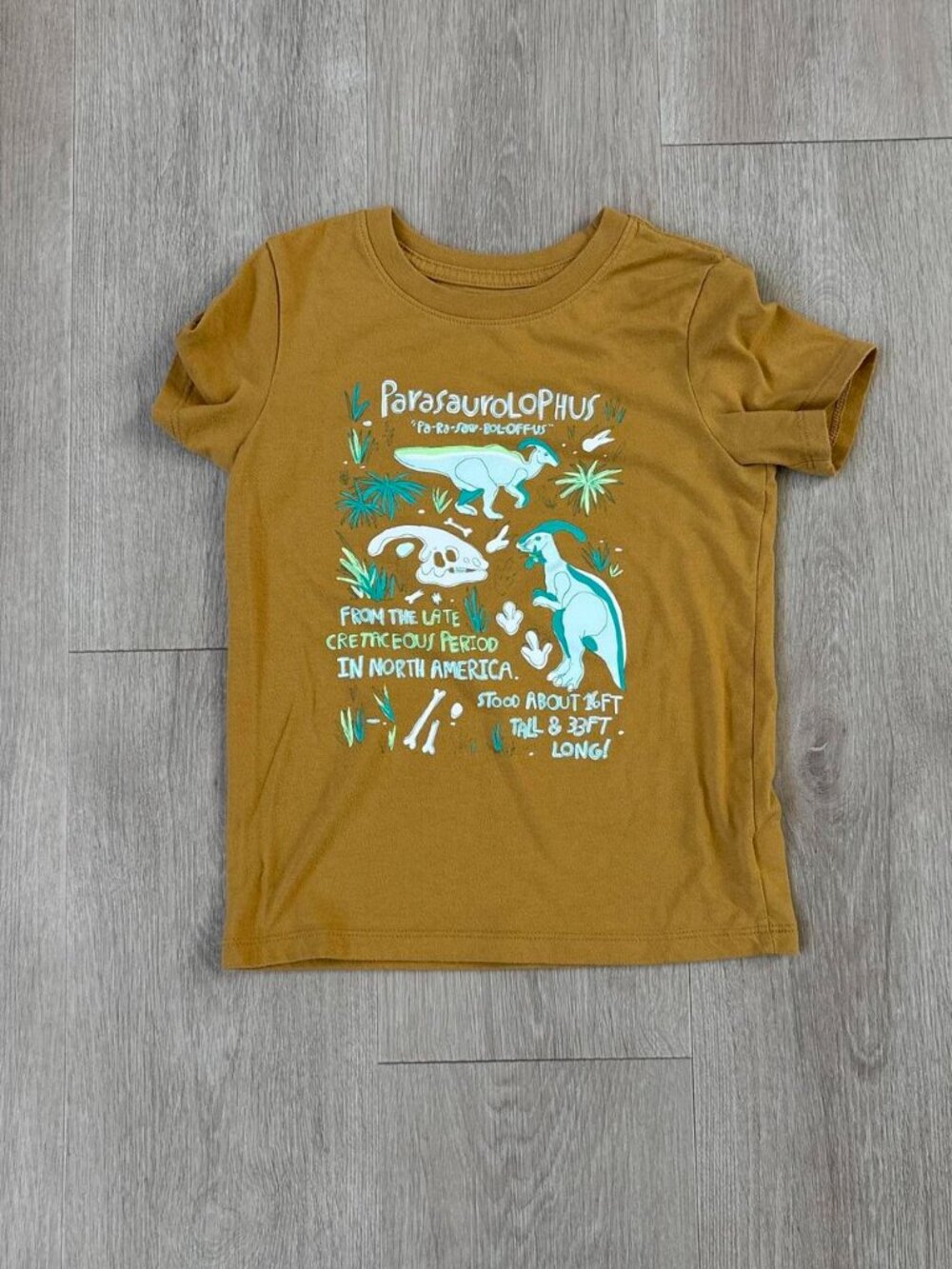 Cat & Jack Boys 5T Brown Dinosaur Graphic T-Shirt Blue Dino Tee
